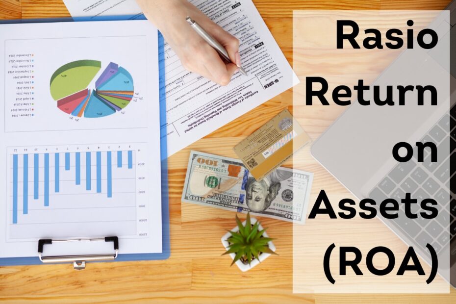 Rasio Return on Assets (ROA)