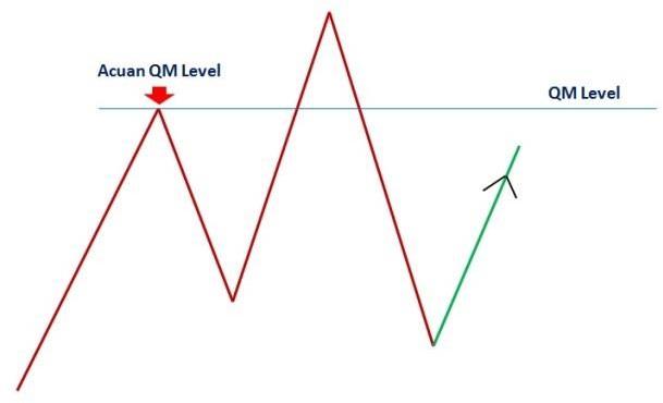 QM Level acuan